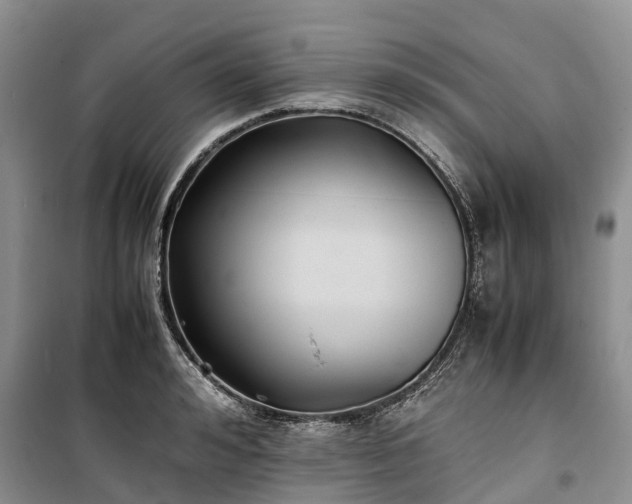 X0000100380992200806131056