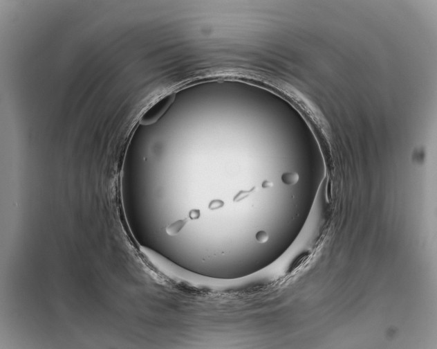 X0000100380993200806131056