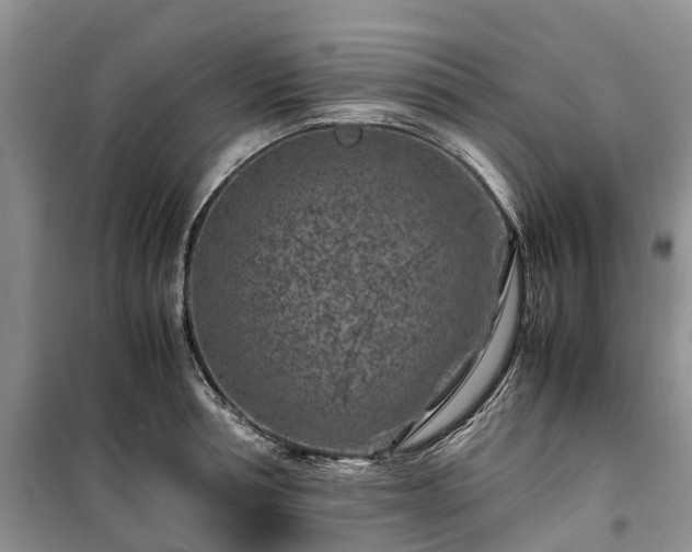 X0000100380994200806131055