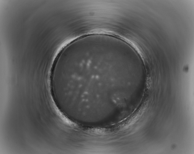 X0000100380995200806131055