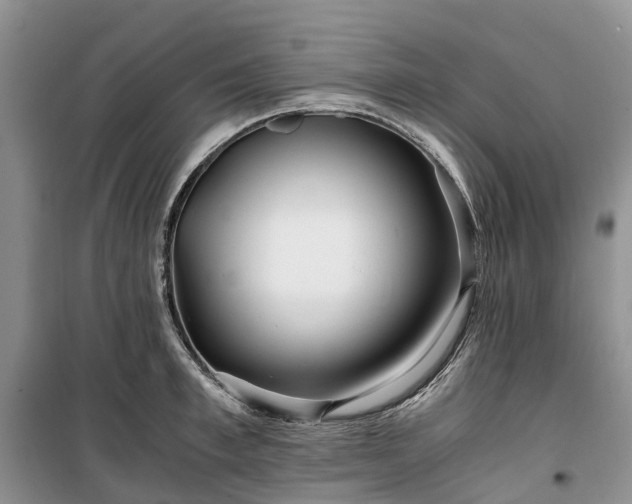 X0000100380997200806131055