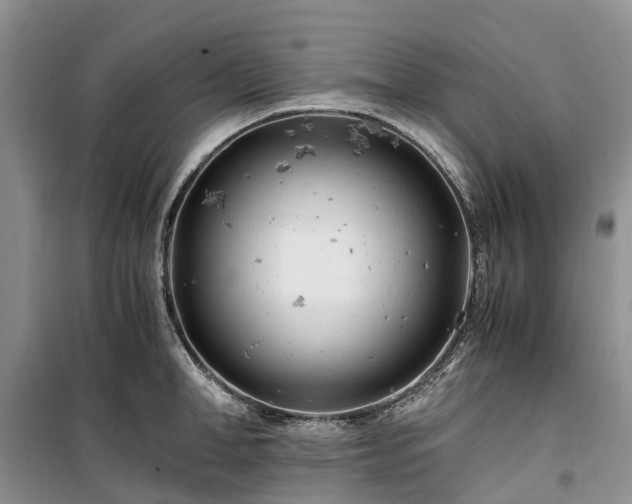 X0000100380998200806131055