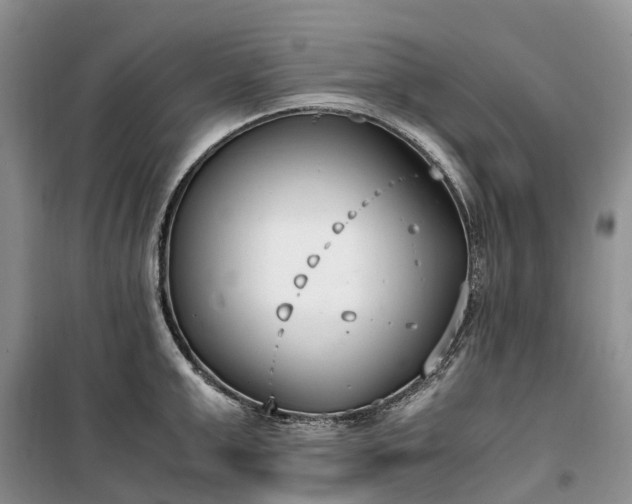 X0000100380999200806131055