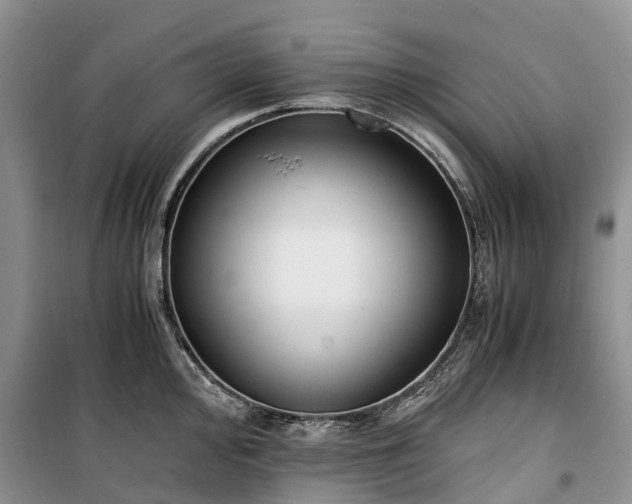 X0000100381000200806131055