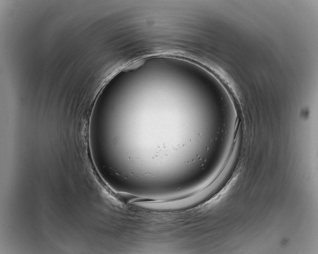 X0000100381001200806131055