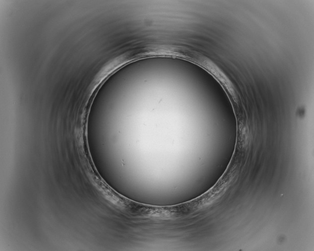 X0000100381002200806131055