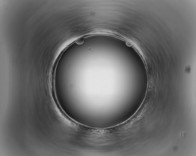 X0000100381003200806131055