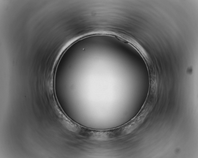 X0000100381004200806131055