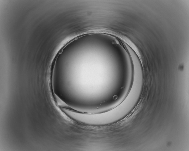 X0000100381005200806131055