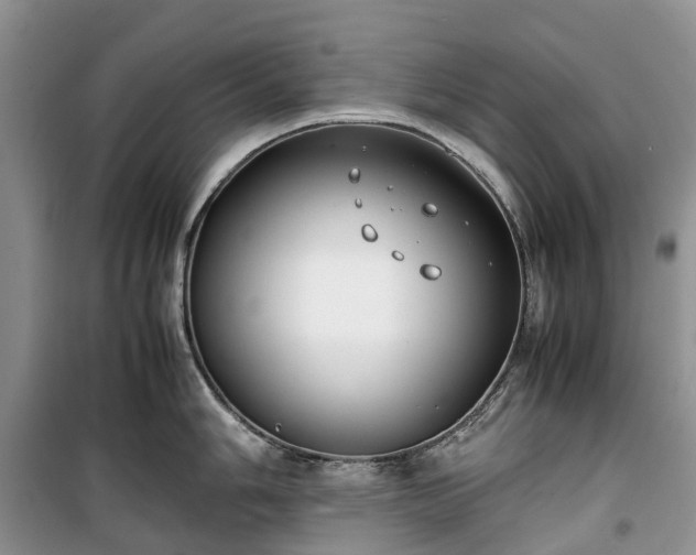 X0000100381006200806131055