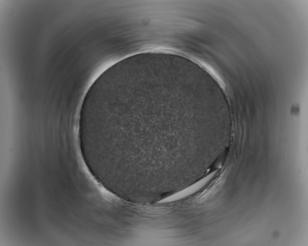 X0000100381007200806131055