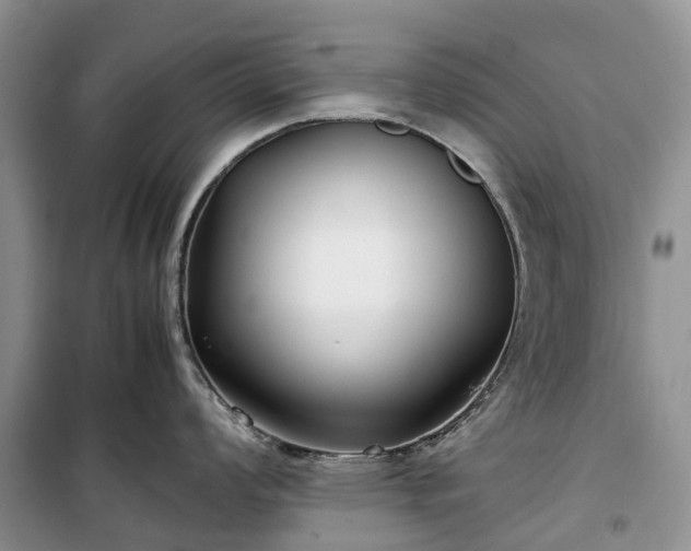X0000100381008200806131055