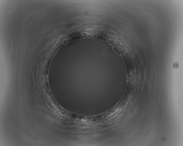 X0000100381009200806131055