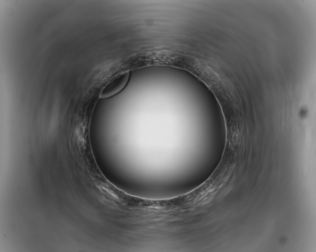 X0000100381010200806131055