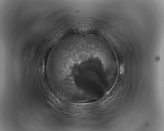X0000100381011200806131055