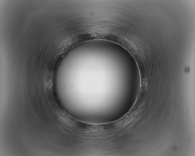 X0000100381012200806131055