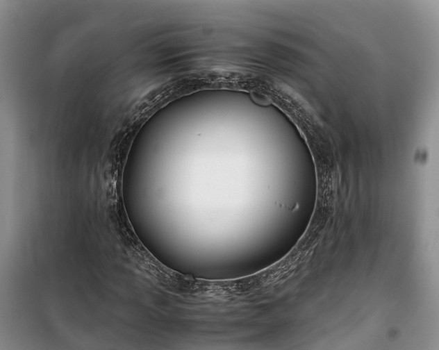 X0000100381013200806131055
