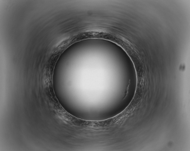 X0000100381014200806131055