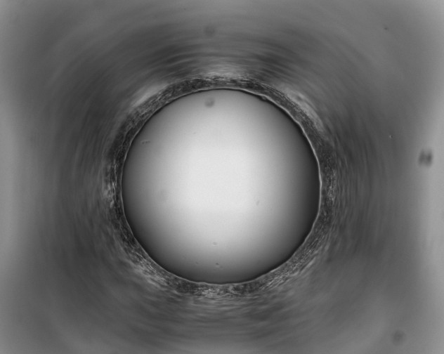X0000100381015200806131055