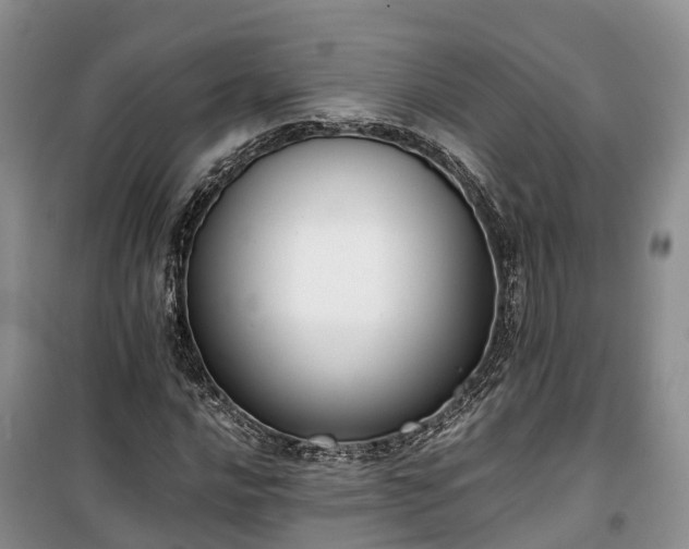 X0000100381016200806131055
