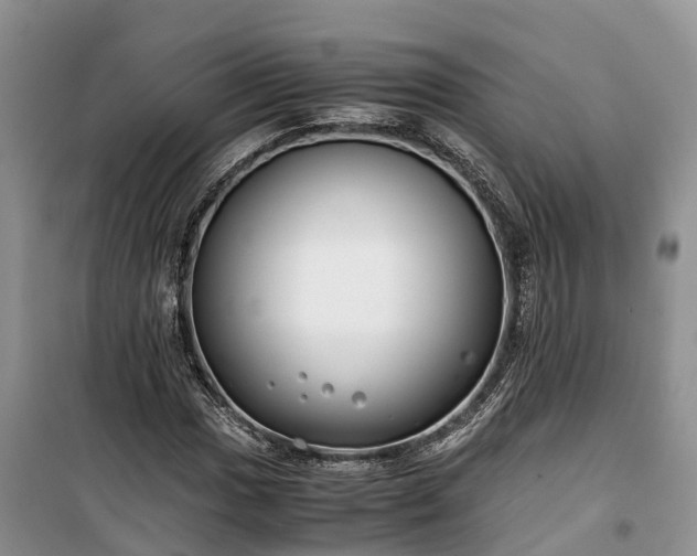 X0000100381017200806131055