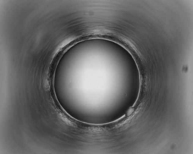 X0000100381018200806131055