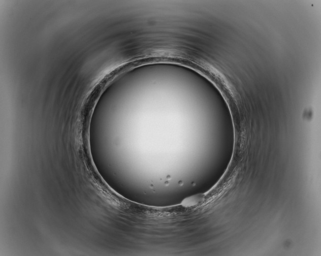 X0000100381019200806131055