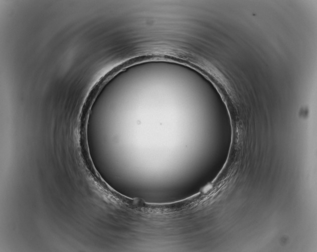X0000100381020200806131055