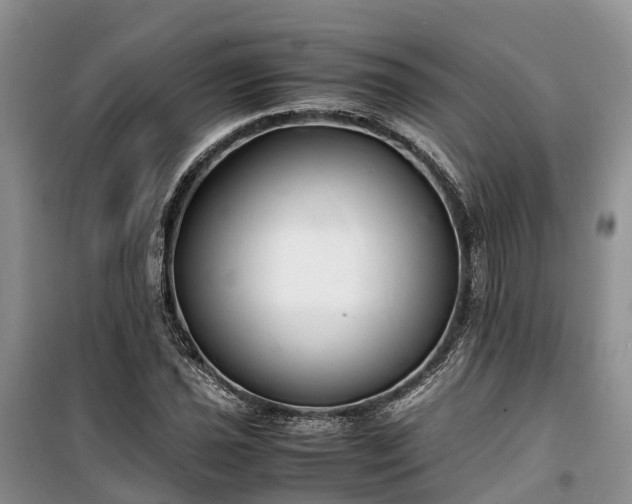 X0000100381021200806131055