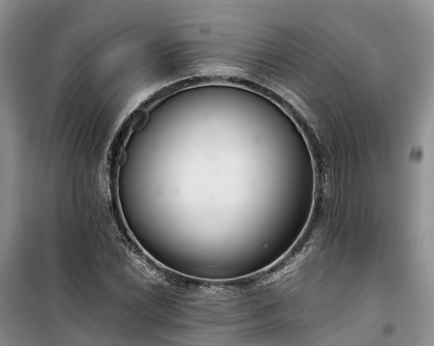 X0000100381022200806131055