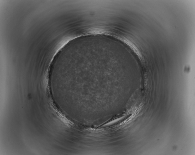 X0000100381023200806131055