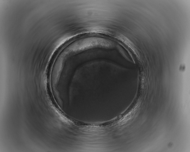 X0000100381024200806131055