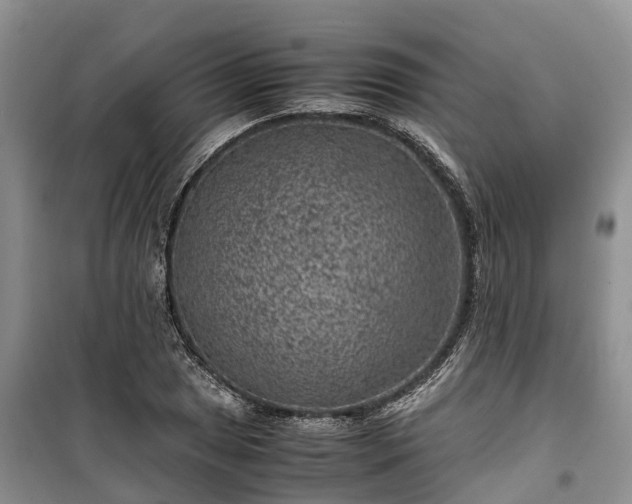 X0000100381025200806131055