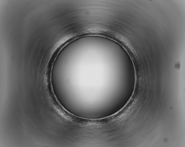 X0000100381026200806131055