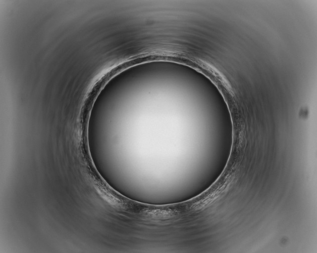 X0000100381027200806131055