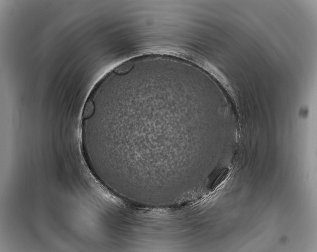 X0000100381028200806131055