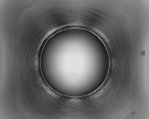 X0000100381029200806131055