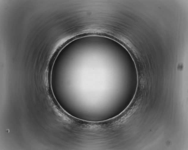 X0000100381030200806131055