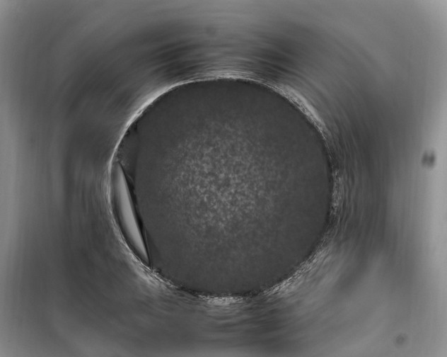 X0000100381031200806131055