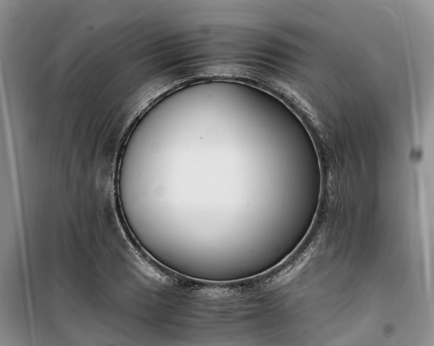 X0000100381033200806131055
