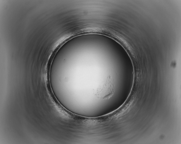 X0000100381034200806131055