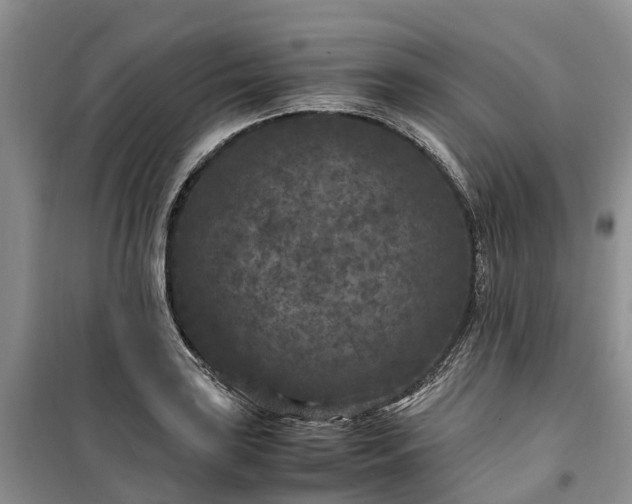 X0000100381035200806131055