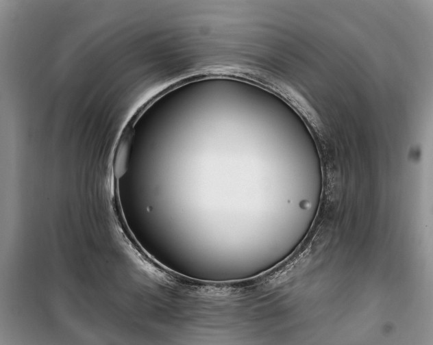 X0000100381036200806131055