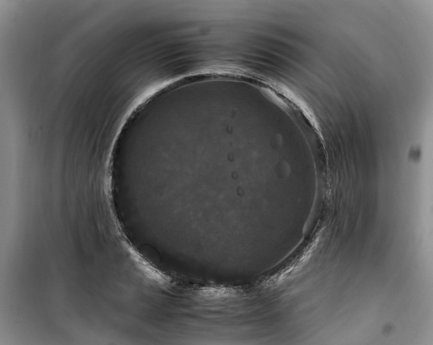 X0000100381037200806131055