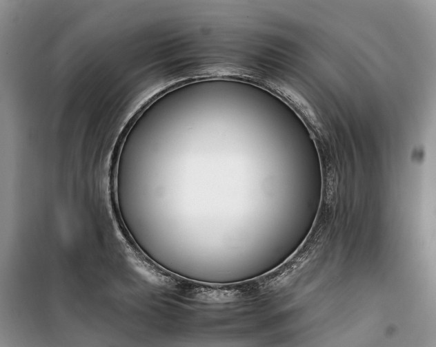 X0000100381039200806131055