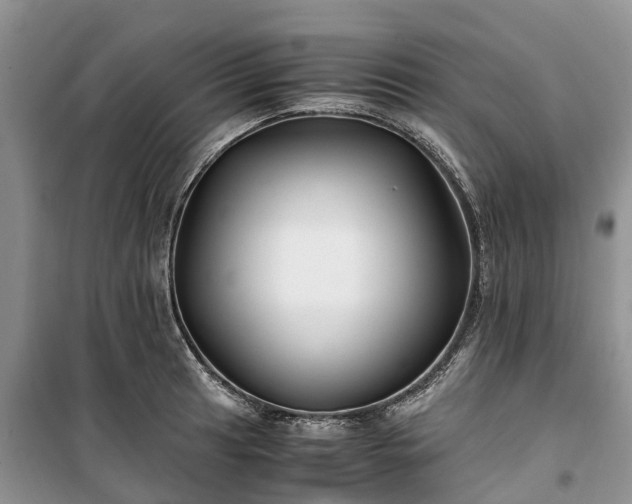 X0000100381041200806131055