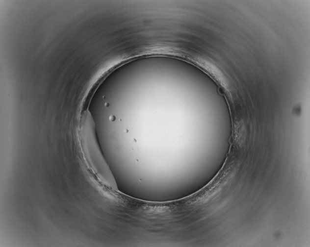 X0000100381043200806131055