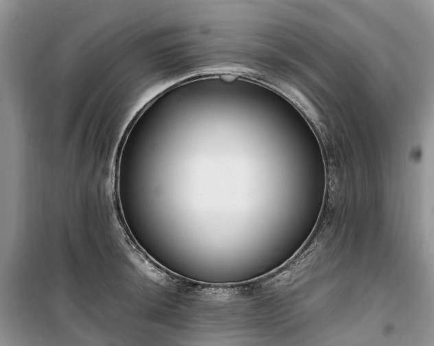 X0000100381044200806131055
