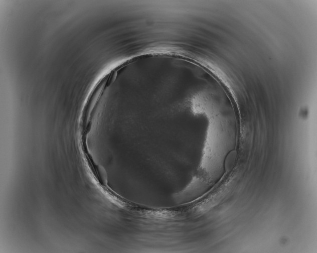 X0000100381045200806131055