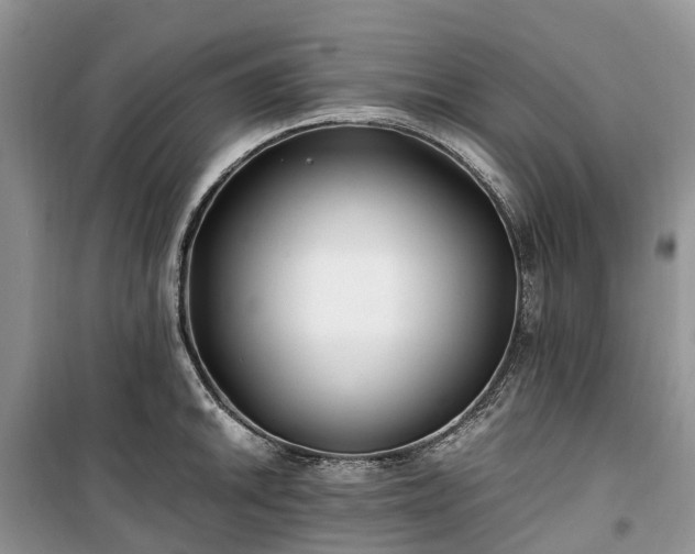 X0000100381046200806131055